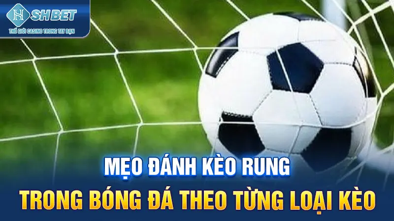 Mẹo đánh kèo rung trong bóng đá theo từng loại kèo